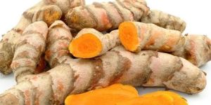 Turmeric Root