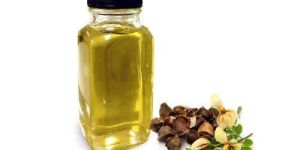 Pure Moringa Seed Oil