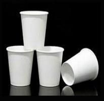 Plain Paper Cups