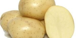 Badshah Potato