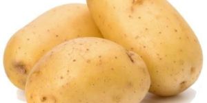 Fresh Potato