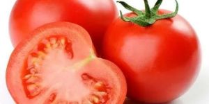 Fresh Tomato