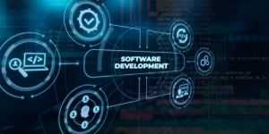 Custom Sales Management Software