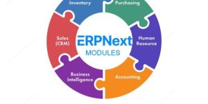 ERPNext Customization Services