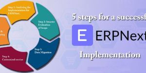 ERPNext Implementation Services