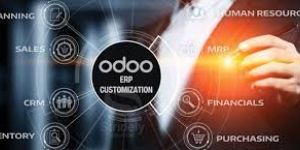 Odoo ERP Customisation Services