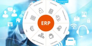 Odoo ERP Support Services