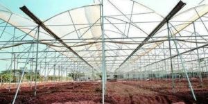 Agricultural Greenhouse Polyhouse GI Pipe