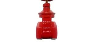 Cast Iron Gate Valve