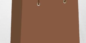 Brown Plain Paper Bags