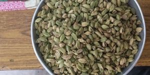 Cardamom Rejection