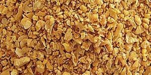 Soybean Meal