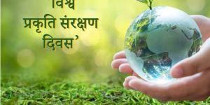 Solar on Grid System