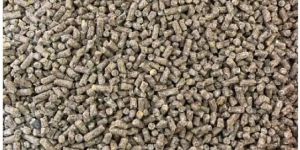 Poultry Broiler Feed