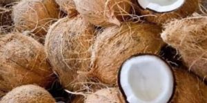 Semi Husked Coconut