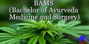 Top Ayurvedic Medical Colleges BAMS Admission in Uttar Pradesh