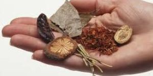 Top Medical Admission Consultancy in UP for Bams Bhms