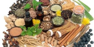 Bams Bhms Medical Admission Consultancy