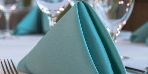 Table Cloth Napkins