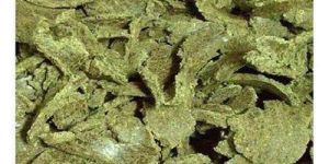 Cotton Seed Oil Cake