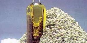 Washed Cotton Seed Oil