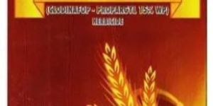 Clodicap Clodinafop Propargyl 15% WP Herbicide