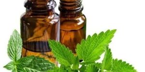 Spearmint Oil