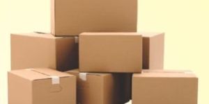 Plain Craft Master Carton