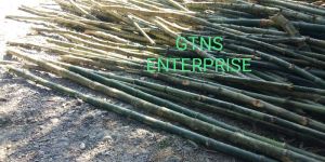 Cutting Pieces Bamboo