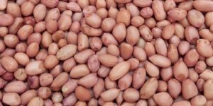 Java Peanuts