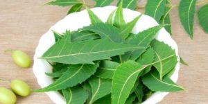 Preservative Free Neem Juice