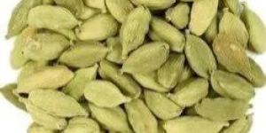 Greek Cardamom