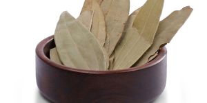 Indian Bay Leaf
