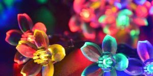 LED Blooming Flower Lights
