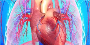 Other Heart Related Problems Treatment