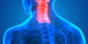 Spine Surgery Services