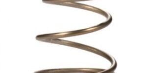 Omega Plunger Valve Springs