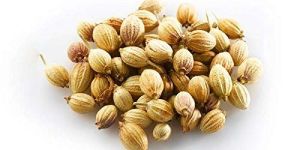 Coriander Seeds