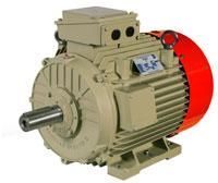 Kirloskar Make AC Induction Motor