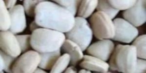 White Tamarind Kernel Seeds