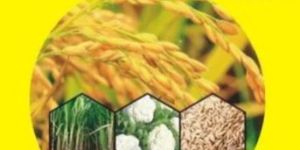 Sulphur 90% DP Fungicide & Acaricide