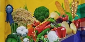 Vita Gold Zyme Granules