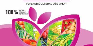 Water Soluble Fertilizer