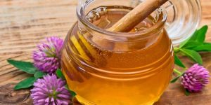 Clover Honey