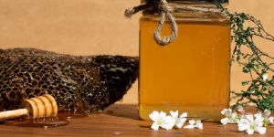 Himalayan Borage Honey