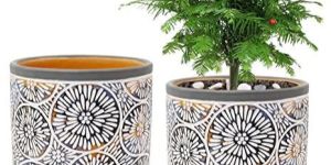 Ceramic Printed Planters