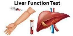 Liver Function Test