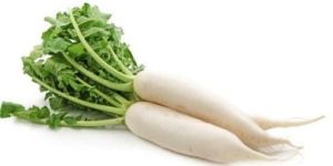 Fresh Radish