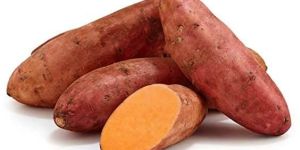 Fresh Sweet Potato