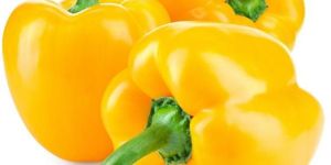 Fresh Yellow Capsicum